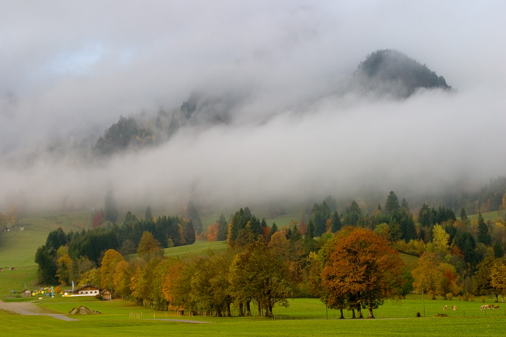 Autumn Bavaria 02
