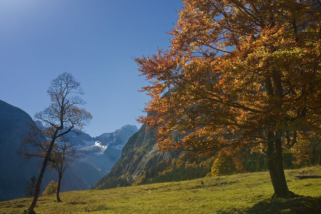 Autumn Bavaria 03
